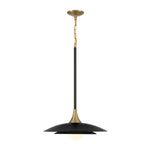 WELSH luminaire suspendu 18"D 46441| Luminaire Plus.ca