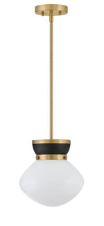 LUCY luminaire suspension simple 10"D | Luminaire Plus.ca