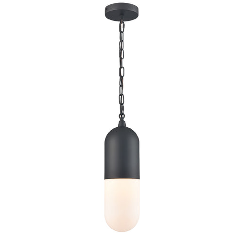 CAPSULE luminaire extérieur suspendu noir DVP13775BK-OP | Luminaire Plus.ca