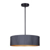 REXTON luminaire suspension | Luminaire Plus.ca