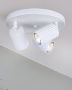 REXTON luminaire projecteur triple | Luminaire Plus.ca