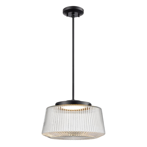 LUNENBERG luminaire suspendu noir DVP43920EB-RIC | Luminaire Plus.ca