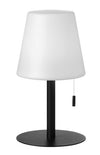 THINSLEY lampe de table noir TSY-113LEDT-MB | Luminaire Plus.ca